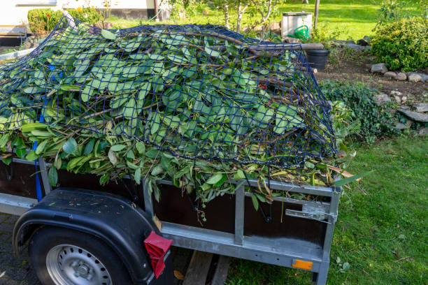 Best Shed Removal  in Lafayette, TN